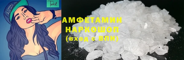 ПСИЛОЦИБИНОВЫЕ ГРИБЫ Гусь-Хрустальный